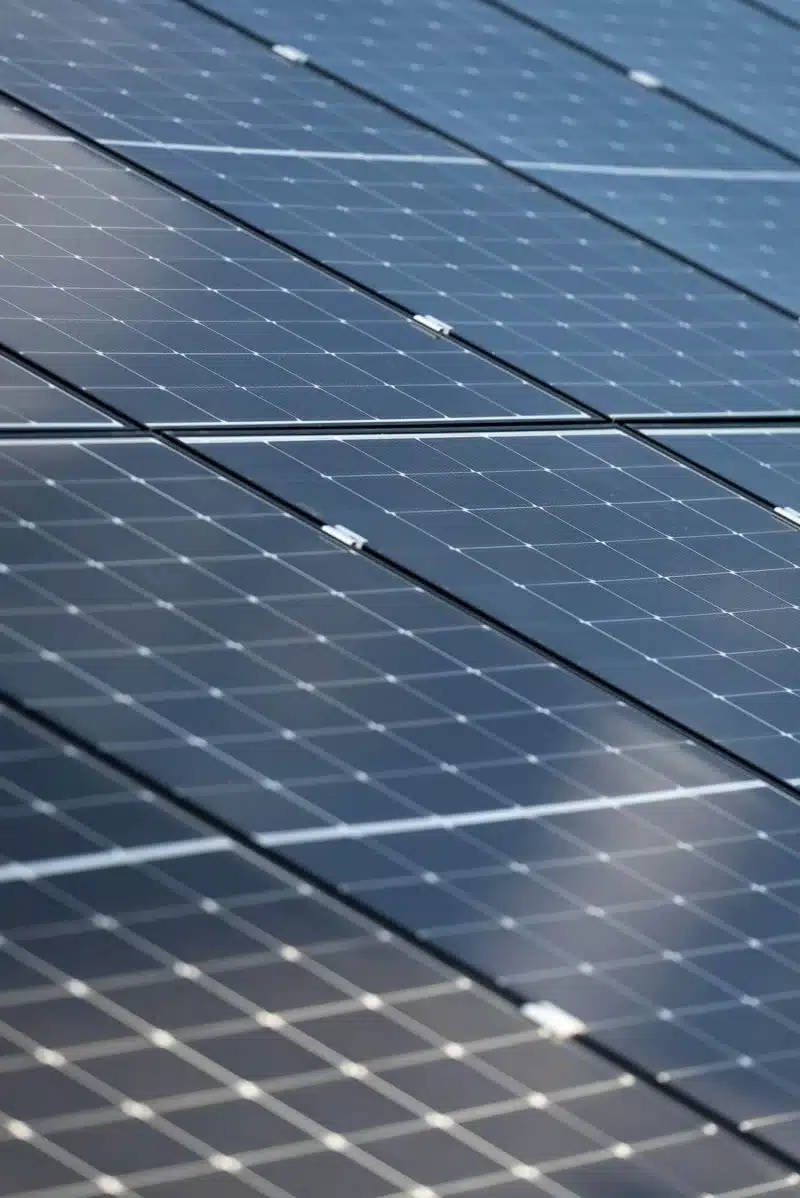 Solar Panel Cleaning
